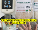 Chitosan Cao Phân Tử (200gr) - tạo màng polymer, túi nhựa sinh học.